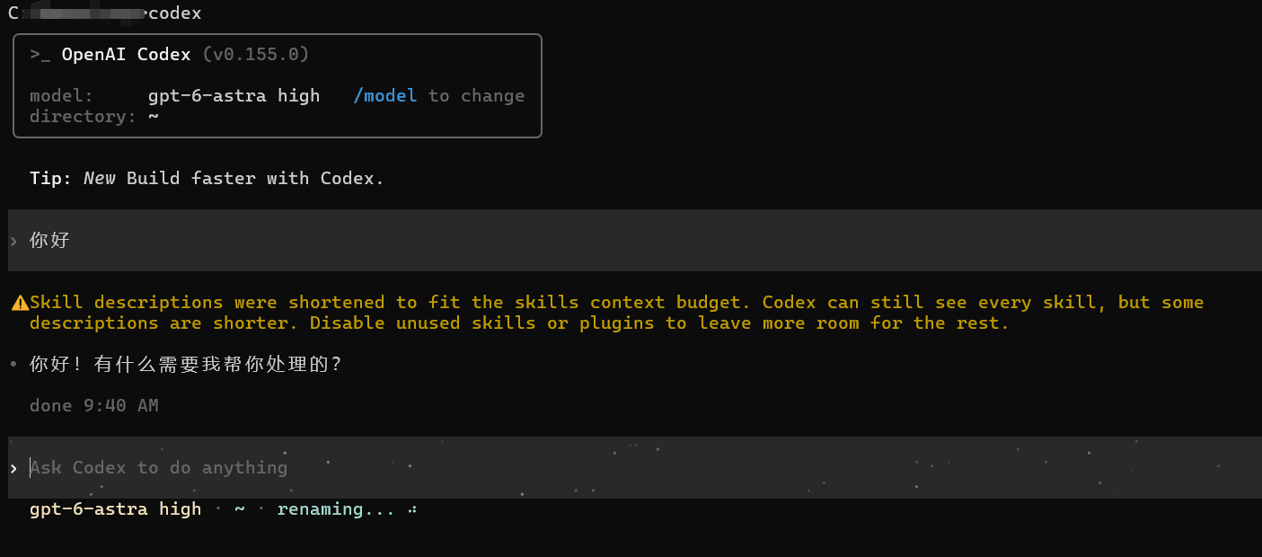 Codex CLI 运行成功
